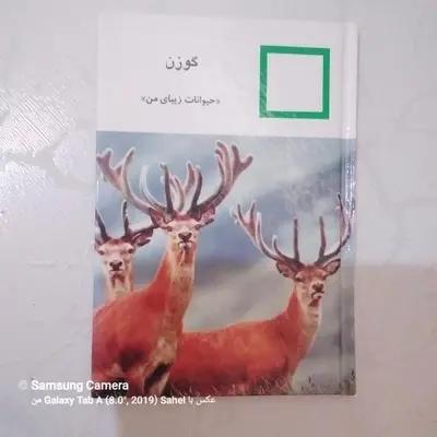 کتاب حیوانات زیبای من (گوزن)