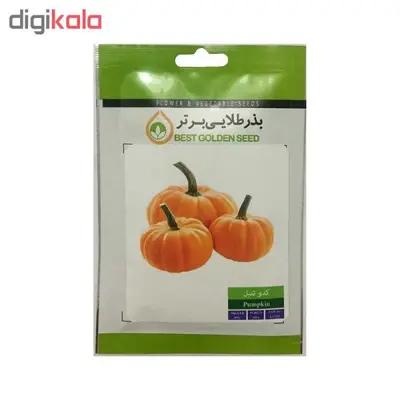 بذر کدو تنبل بذر طلایی برتر کد BZT-68