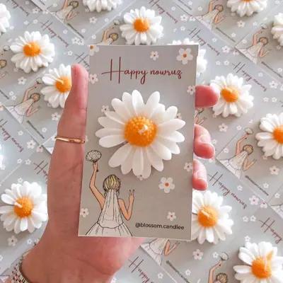 گیفت شمع بابونه