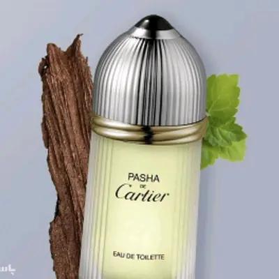 کارتیرپاشا-159126