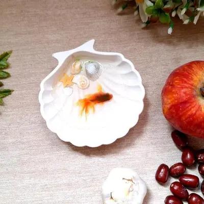 تنگ ماهی رزینی صدف سنگی