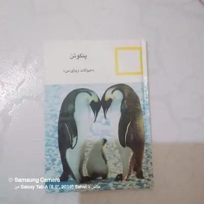 کتاب حیوانات زیبای من (پنگوئن)