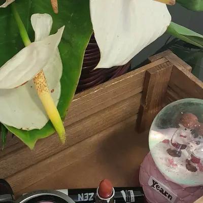 ست ریمل رژ لب و رژ گونه