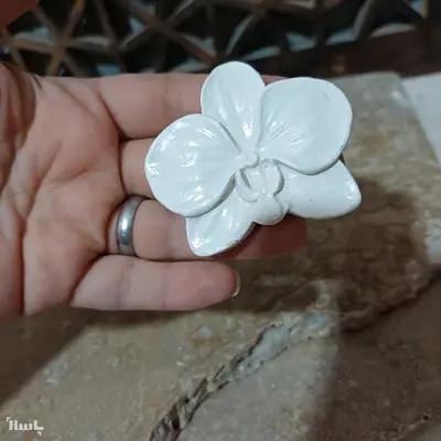 بیس خام گل ارکیده-154274