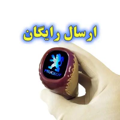 سردنده چراغدار مدل VARNISH LUX مناسب برای پژو 405 و پارس (ارسال رایگان)
