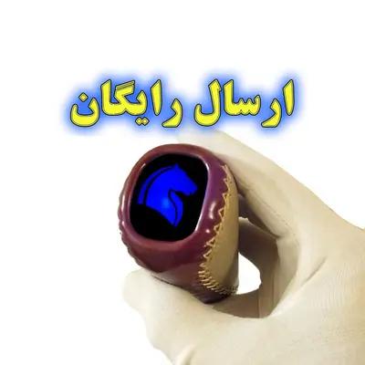 سردنده چراغدار مدل VARNISH HORSE مناسب برای سمند و دنا (ارسال رایگان)