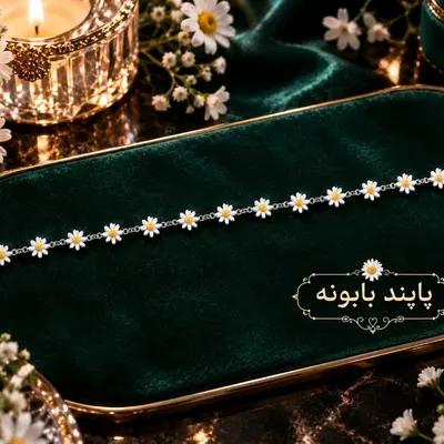 پاپند بابونه